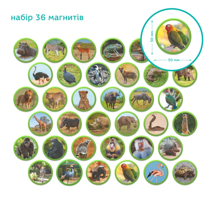0afbbf909d8011f1afa67085c29e2904_0afbbf929d8011f1afa67085c29e2904
