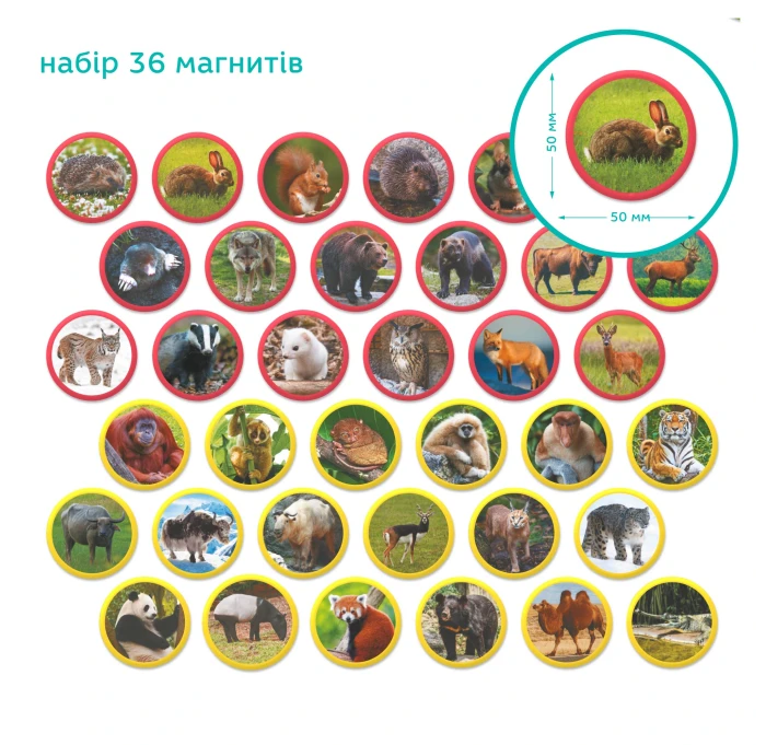 0afbbf969d8011f1afa67085c29e2904_0afbbf989d8011f1afa67085c29e2904
